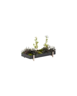 Blumentopf Botanic - Schwarz - Esche massiv - Designer Atelier 2