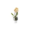 Blumentopf mit Wasserreservoir Pot de fleurs - Weiß - Opal-Glas - Designer The Tools