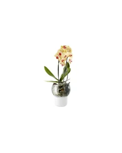 Blumentopf mit Wasserreservoir Pot de fleurs - Weiß - Opal-Glas - Designer The Tools