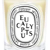 Duftkerze Eucalyptus 190 g