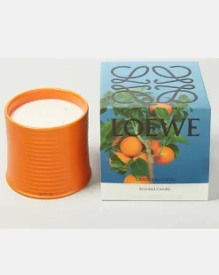 Duftkerze Orange Blossom Large