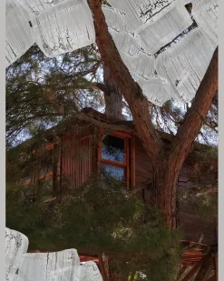 Duftkerze Tree House 240 g