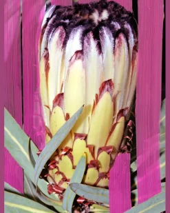 Eau de Parfum Inflorescence 100 ml