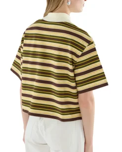 Gestreiftes Polohemd Multicolor
