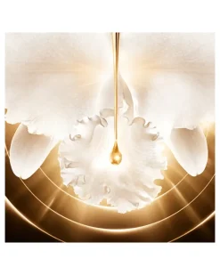Orchidée Impériale Gold Nobile Serum Refill Serum 30 ml