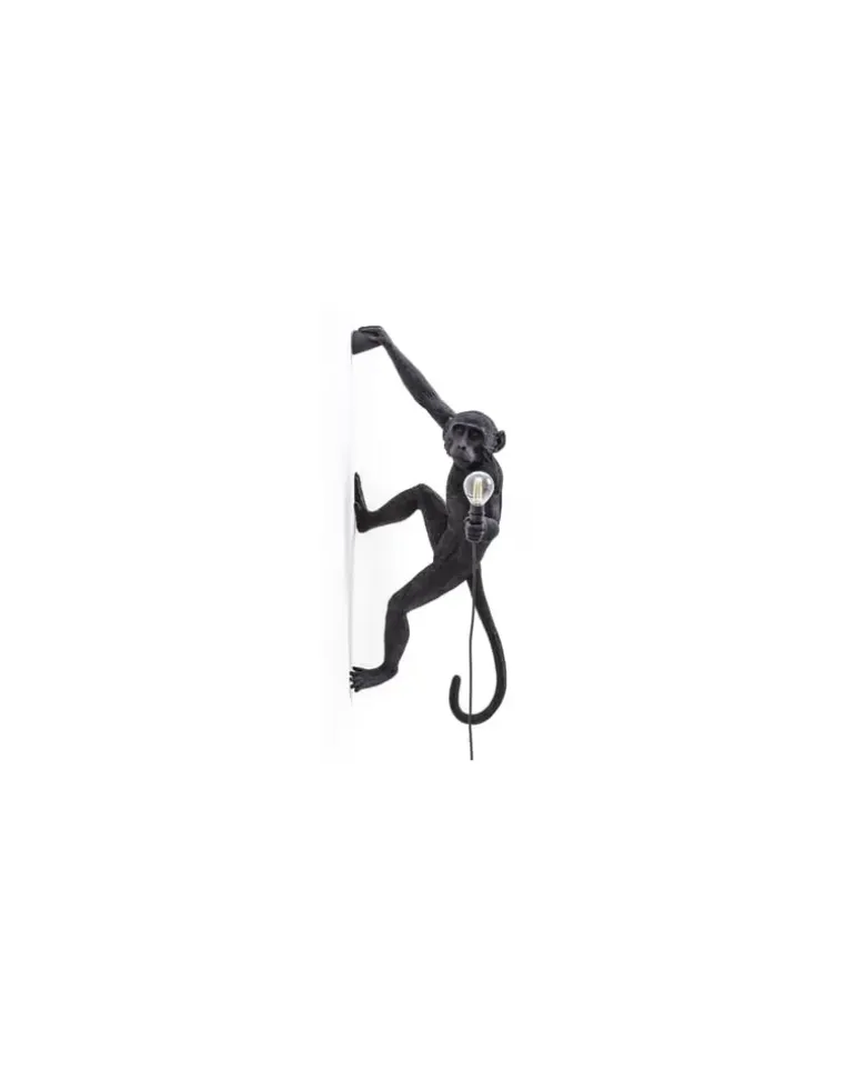 Outdoor-Wandleuchte mit Stecker Animaux - Schwarz - Harz - Designer Marcantonio