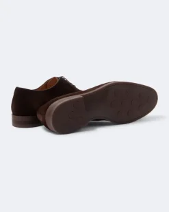 Oxford-Schuhe Carbonne aus Veloursleder Braun