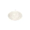 Pendelleuchte Bloom - Transparent - Polykarbonat - Designer Ferruccio Laviani