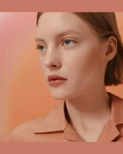 Rouge , seidig glänzender lippenstift, limitierte Kollektion Brown