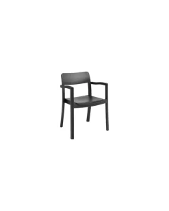 Sessel Pastis - Schwarz - Lackierte Esche - Designer Julien Renault