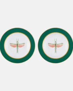 Set aus zwei Suppentellern Libellula aus Porzellan GrüN