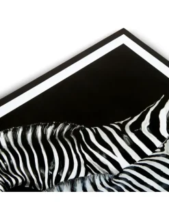 Tischsets mit Zebra-Print (36er-Set) - Schwarz