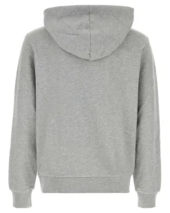 Unisex Standard Hoodie Gray Cotton Elastane Sweater