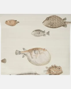 X Cole & Son Tapete Acquario Neutral